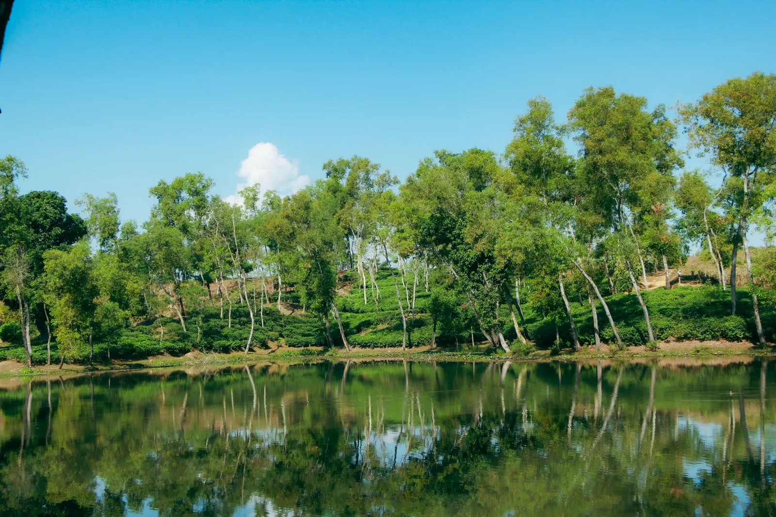 Madhabpur Lake, Sylhet